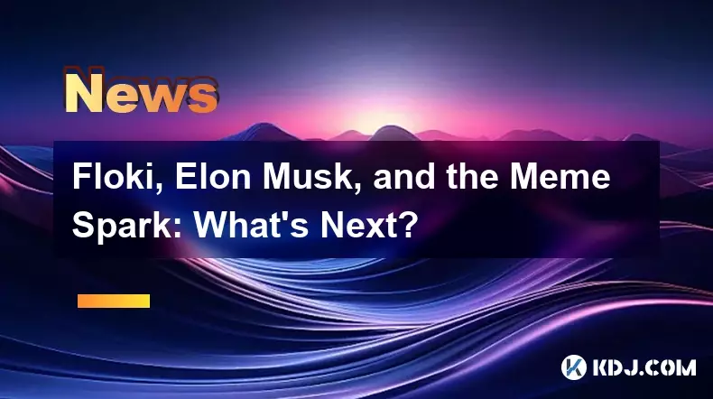 Floki, Elon Musk, and the Meme Spark: What's Next? Floki, Elon Musk, and the Meme Spark: What's Next?