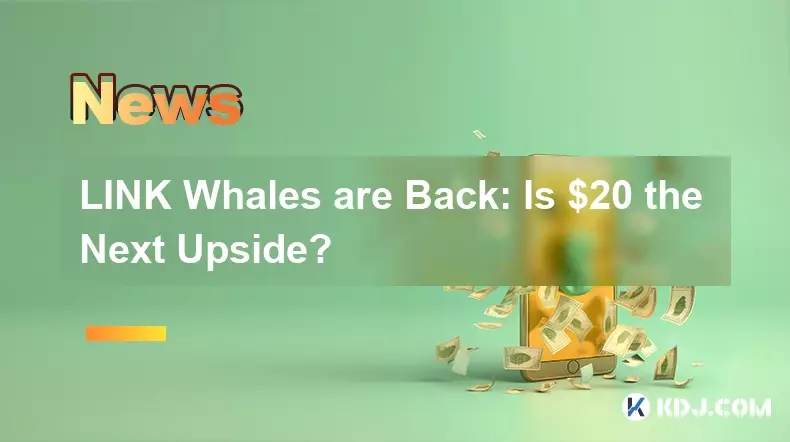LINK 鯨魚回來了:20 美元是下一個上漲空間嗎? LINK 鯨魚回來了:20 美元是下一個上漲空間嗎?