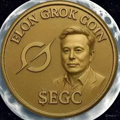 ELON GROK COIN
