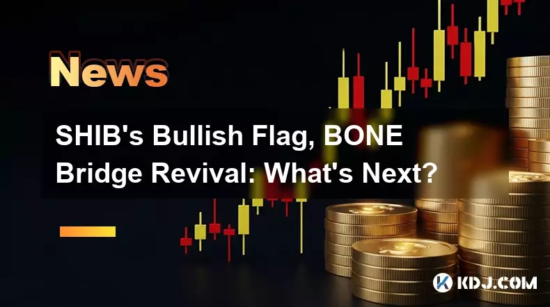 SHIB's Bullish Flag, BONE Bridge Revival: What's Next?
