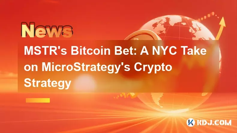 MSTR のビットコインへの賭け: MicroStrategy の暗号戦略に対するニューヨーク市の見解 MSTR のビットコインへの賭け: MicroStrategy の暗号戦略に対するニューヨーク市の見解