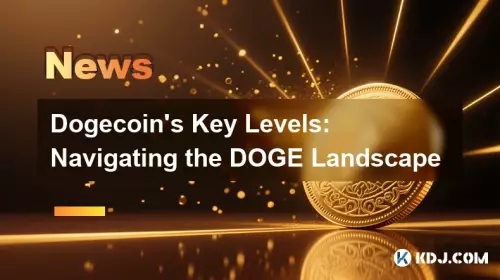 Dogecoin's Key Levels: Navigating the DOGE Landscape