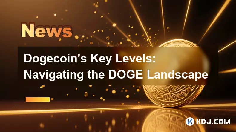 Dogecoin's Key Levels: Navigating the DOGE Landscape Dogecoin's Key Levels: Navigating the DOGE Landscape