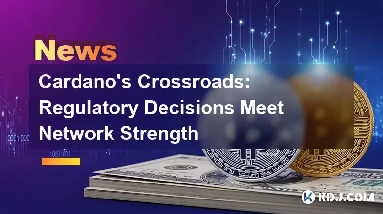 Le carrefour de Cardano : les décisions réglementaires répondent à la force du réseau