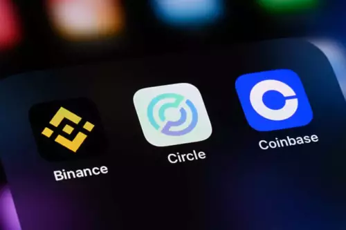 CONL-, Coinbase- und Leverage-Risiken: Navigieren in der Kryptolandschaft