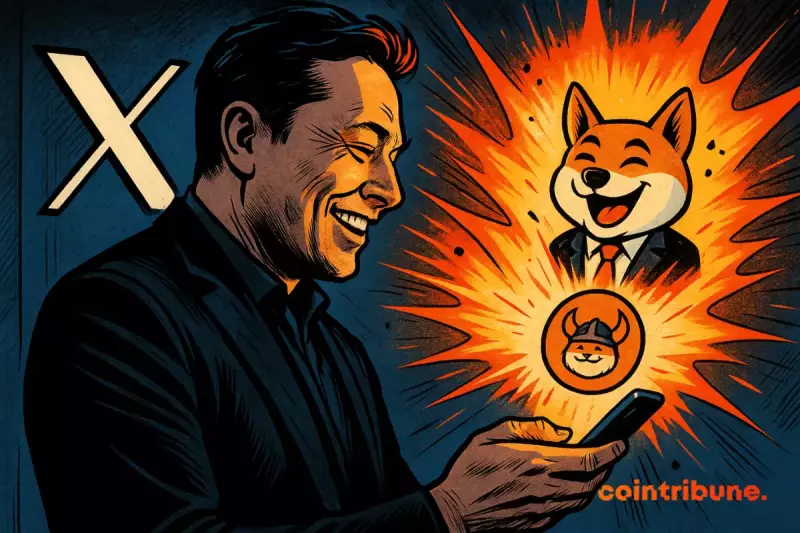 埃隆·馬斯克 (Elon Musk)、弗洛基 (Floki) 和 Memecoin 狂熱：怎麼回事？