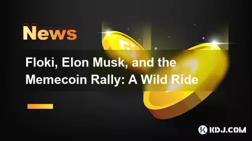 弗洛基、埃隆·马斯克和 Memecoin 集会:一次疯狂的旅程 弗洛基、埃隆·马斯克和 Memecoin 集会:一次疯狂的旅程