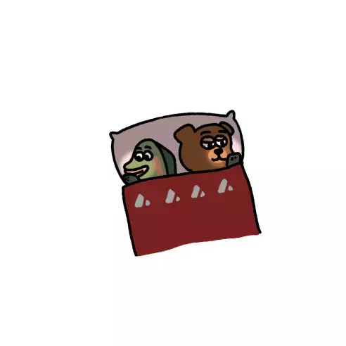 Bears and Salmon