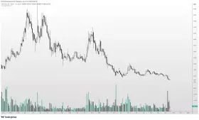 Altcoin Sherpa