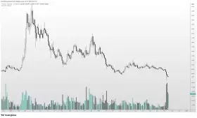 Altcoin Sherpa