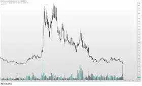 Altcoin Sherpa