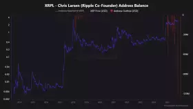 Crypto Profe