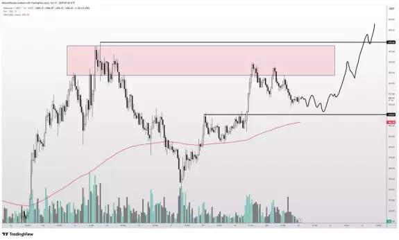 Altcoin Sherpa