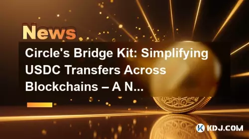 Circle's Bridge Kit: Simplifying USDC Transfers Across Blockchains – A New York Minute!