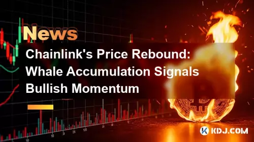Chainlink's Price Rebound: Whale Accumulation Signals Bullish Momentum