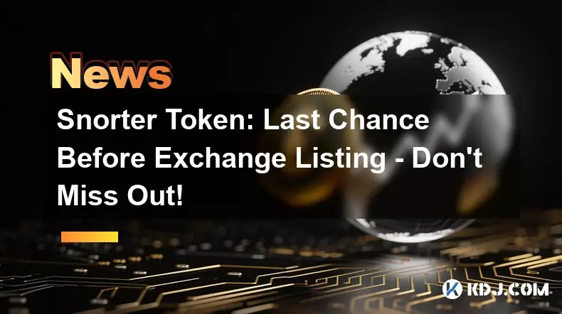 Snorter 토큰: 거래소 상장 전 마지막 기회 - 놓치지 마세요!