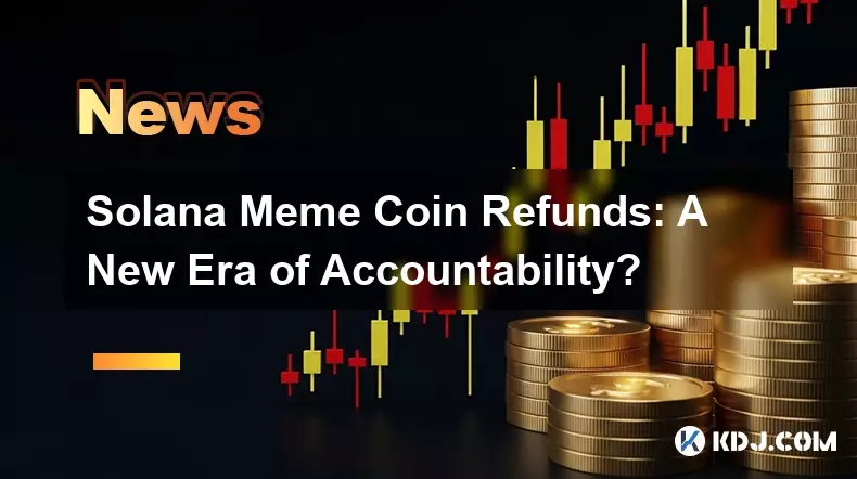 Solana Meme 硬币退款:责任的新时代? Solana Meme 硬币退款:责任的新时代?