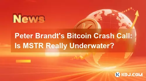 彼得·勃蘭特(Peter Brandt)的比特幣崩潰電話:MSTR真的在水下嗎? 彼得·勃蘭特(Peter Brandt)的比特幣崩潰電話:MSTR真的在水下嗎?