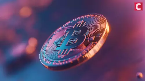 Bitcoin-Preis: Peter Brandts 250.000-Dollar-Prognose – Hype oder Hoffnung? Bitcoin-Preis: Peter Brandts 250.000-Dollar-Prognose – Hype oder Hoffnung?