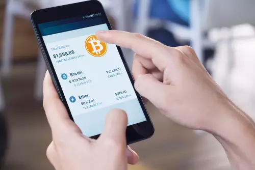 解读加密货币热潮:“比特币就是金钱”、Meme 货币变化以及 Tether 的用户里程碑 解读加密货币热潮:“比特币就是金钱”、Meme 货币变化以及 Tether 的用户里程碑