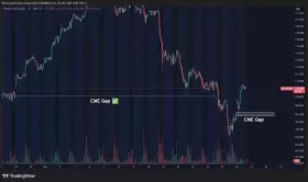 Daan Crypto Trades