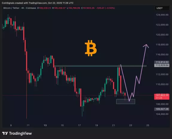 Coin Signals
