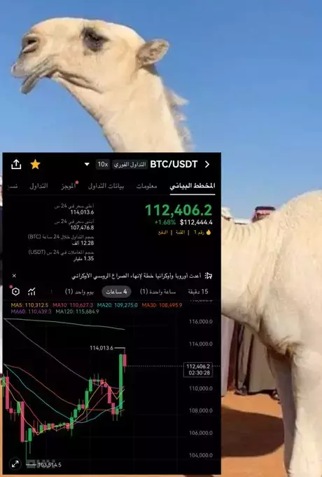 مجتمع العملات الرقمية