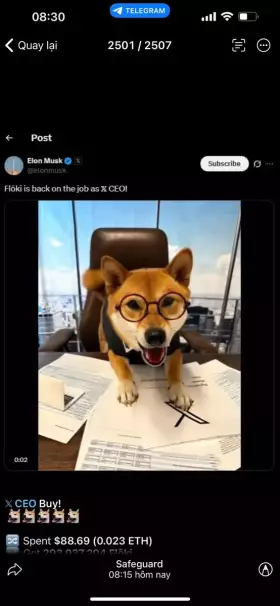 Wolf Molita