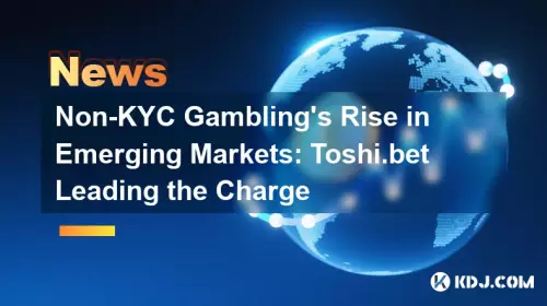 Non-KYC Gambling's Rise in Emerging Markets: Toshi.bet Leading the Charge Non-KYC Gambling's Rise in Emerging Markets: Toshi.bet Leading the Charge