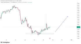 IncomeSharks