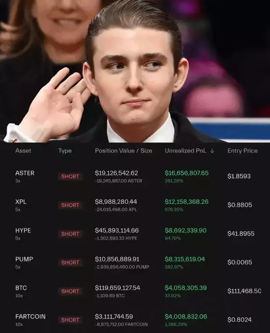 Kripto Warrior