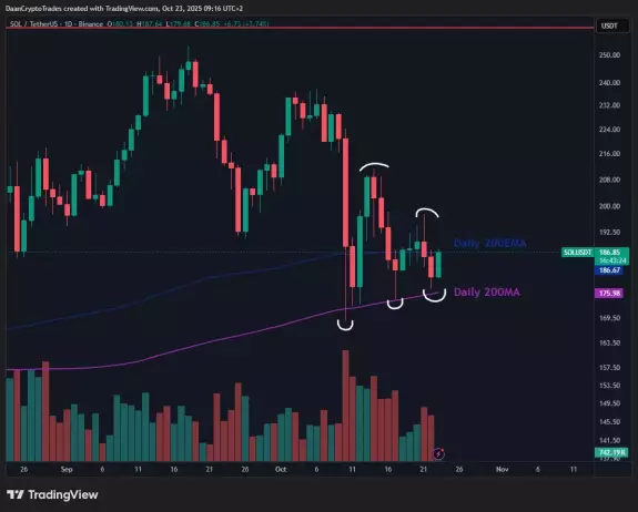 Daan Crypto Trades