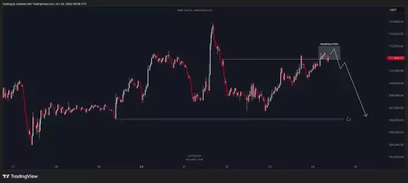 Jip Molenaar Jip Molenaar