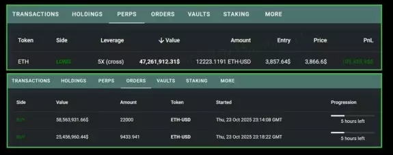 Crypto Ape