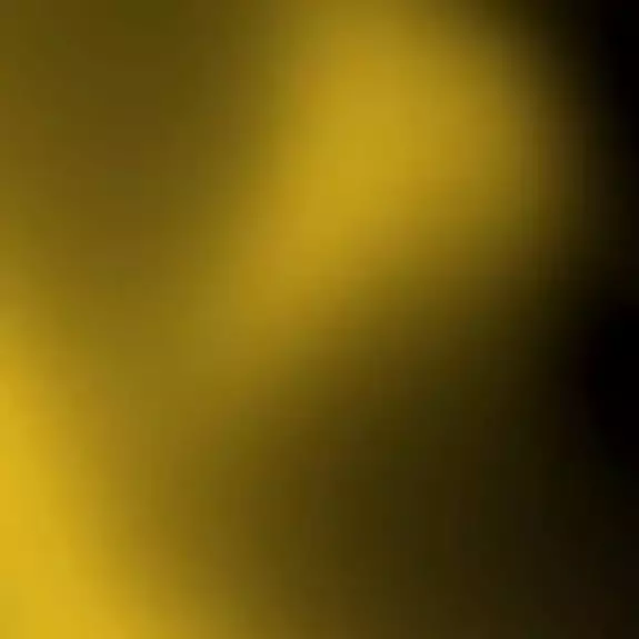 Ansem.sol Ansem.sol