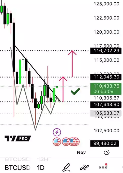 ⭐RᗩᖴᗩEᒪᗩ 𝗥𝗜𝗚𝗢⭐