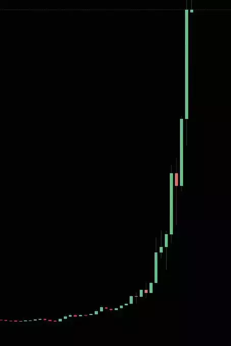 Whale Satoshi