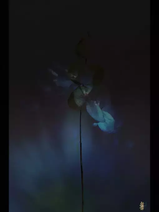 𝙊𝙛𝙛𝙞𝙘𝙞𝙖𝙡𝙆𝙝𝙪𝙙𝙝𝙚𝙮 𝙊𝙛𝙛𝙞𝙘𝙞𝙖𝙡𝙆𝙝𝙪𝙙𝙝𝙚𝙮
