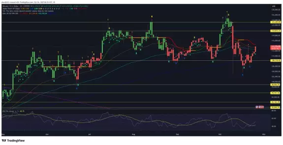 Don't follow Shardi B if you hate Money Don't follow Shardi B if you hate Money