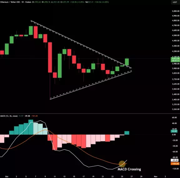 Max Crypto  Max Crypto