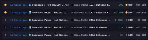 Coin Bureau Coin Bureau