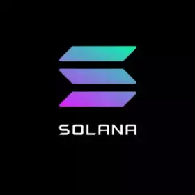 Whale Insider Whale Insider