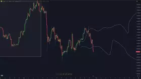 DoopieCash® DoopieCash®