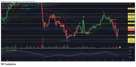 Don't follow Shardi B If You Hate Money