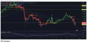 Don't follow Shardi B If You Hate Money