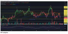 Don't follow Shardi B If You Hate Money