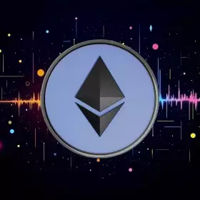 The Wolf Of All Streets The Wolf Of All Streets