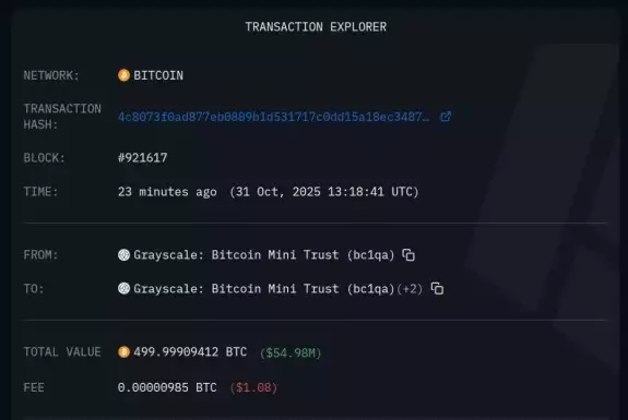 Kyle Chassé / DD🐸