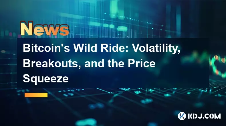 比特币的疯狂之旅:波动、突破和价格挤压 比特币的疯狂之旅:波动、突破和价格挤压