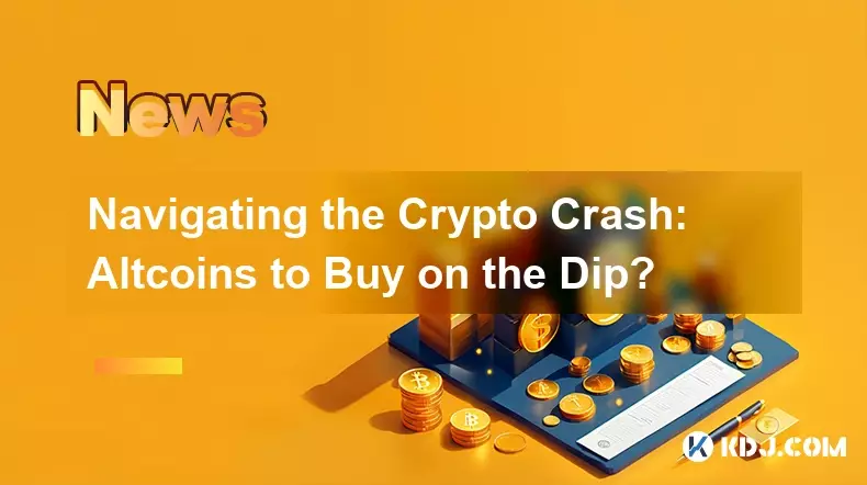 应对加密货币崩盘：逢低买入山寨币？
